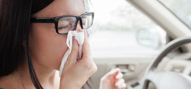 Heuschnupfen beim Autofahren: So bändigt man die Allergieauslöser